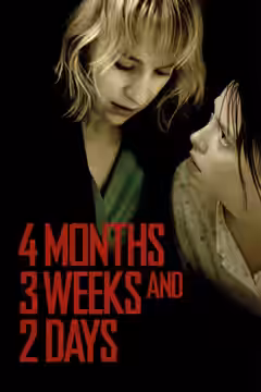 4 Months, 3 Weeks and 2 Days poster 4