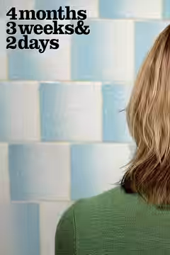 4 Months, 3 Weeks and 2 Days poster 3