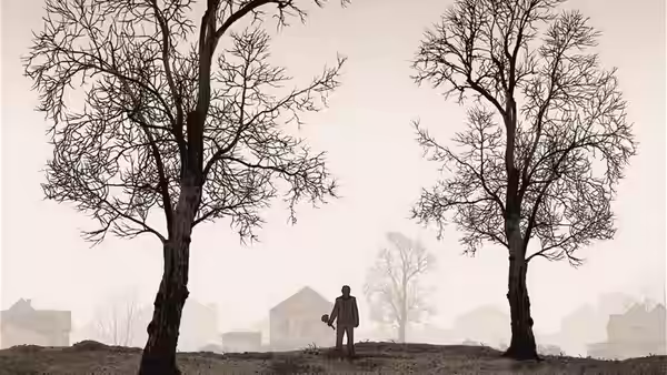 a man standing between two leafless trees on a foggy hill