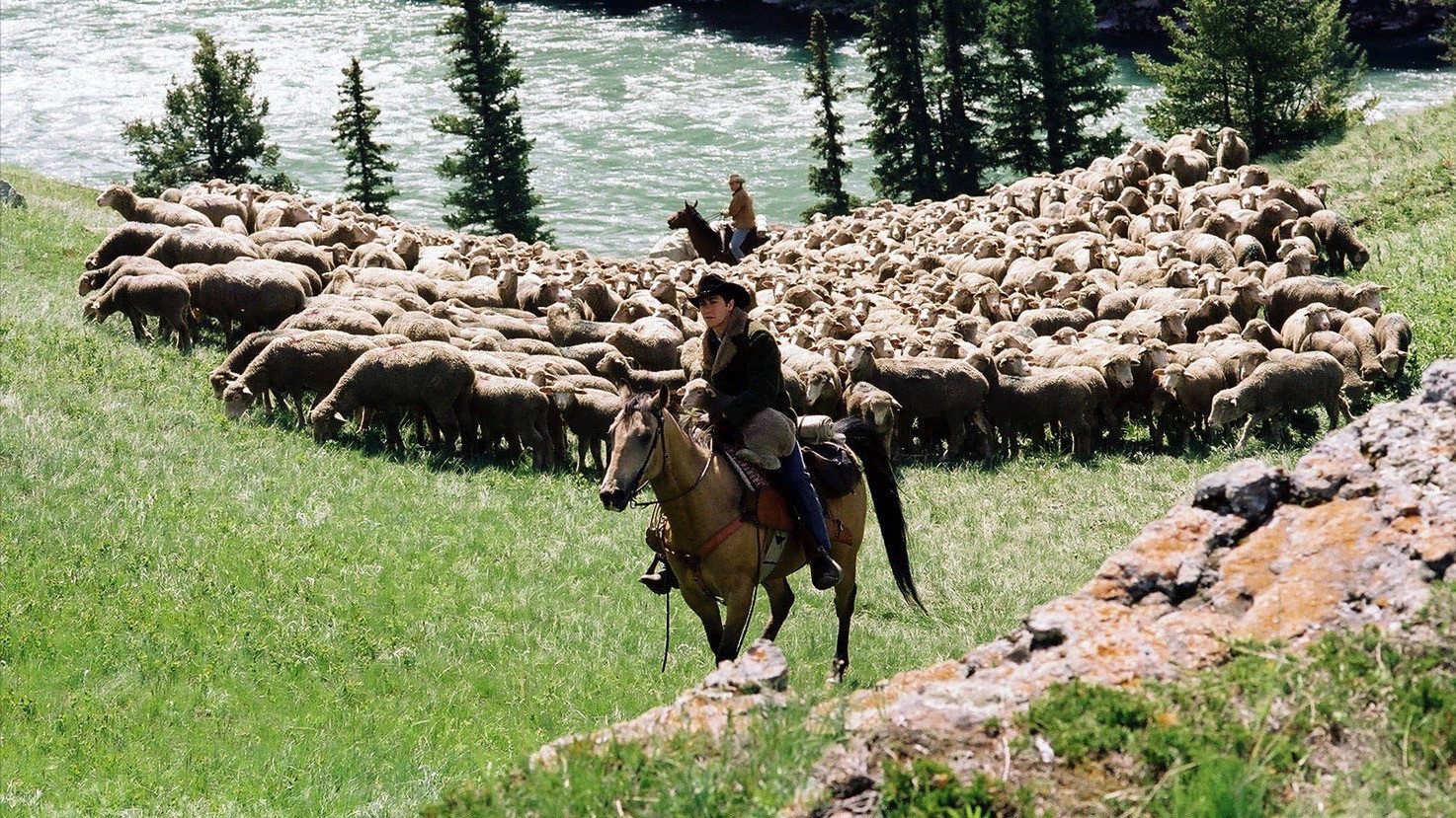 Brokeback Mountain, still 3