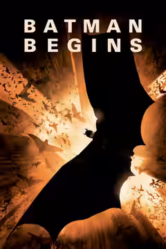 Batman Begins poster 3