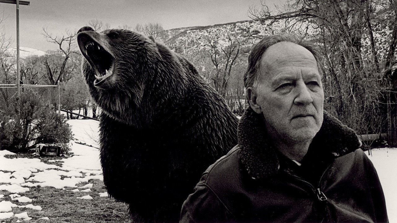 Grizzly Man, still 4