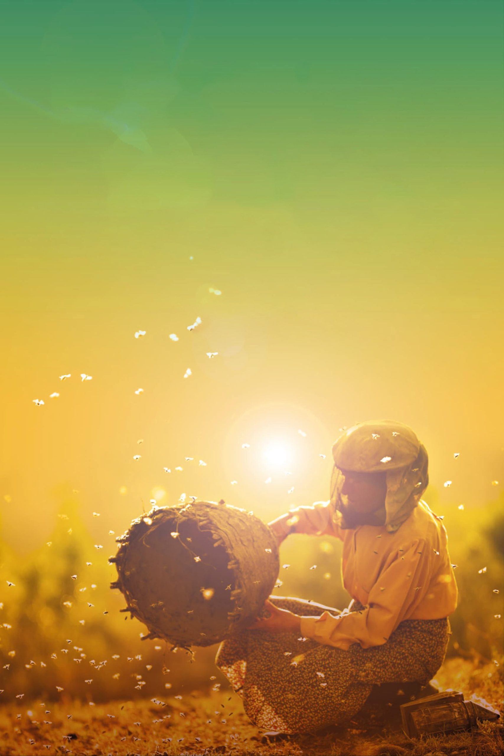 Honeyland poster 2