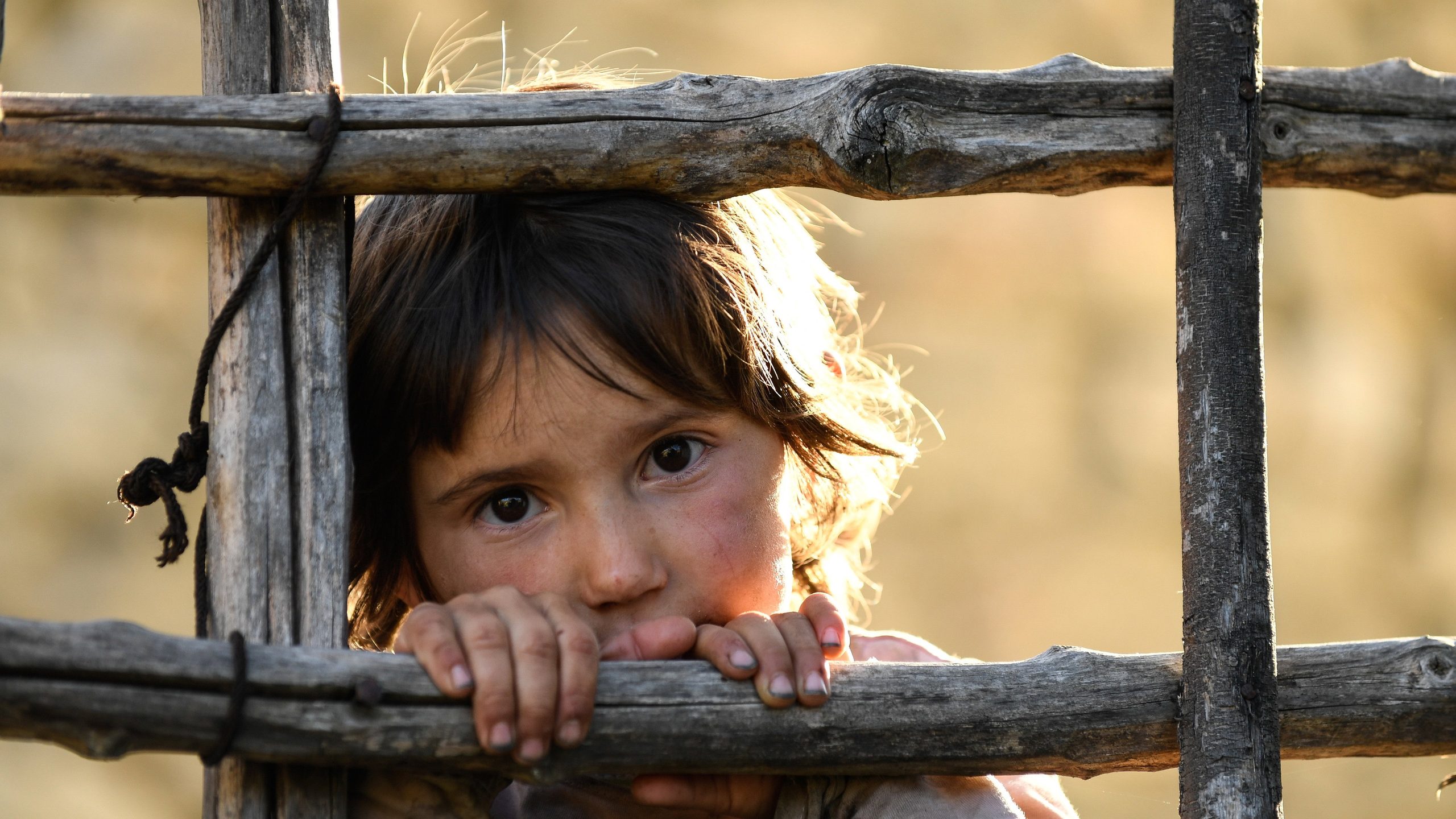 Honeyland, still 6