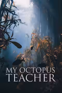 My Octopus Teacher poster