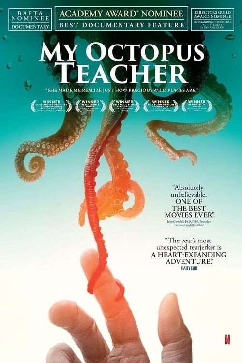 My Octopus Teacher poster 4