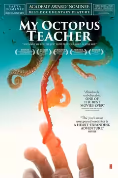 My Octopus Teacher poster 4