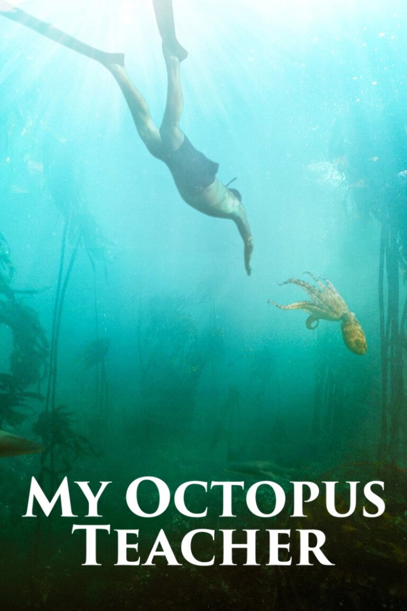 My Octopus Teacher poster 2