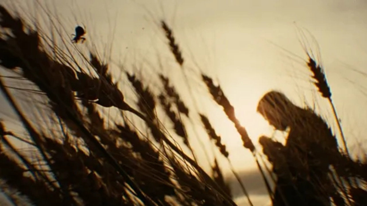 The Assassination of Jesse James by the Coward Robert Ford, still 6