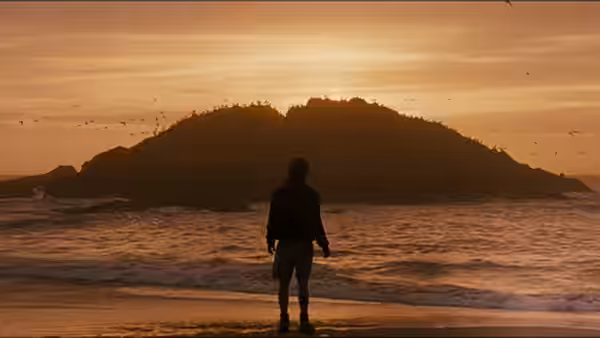 a person standing on the beach at sunset facing an island across the water