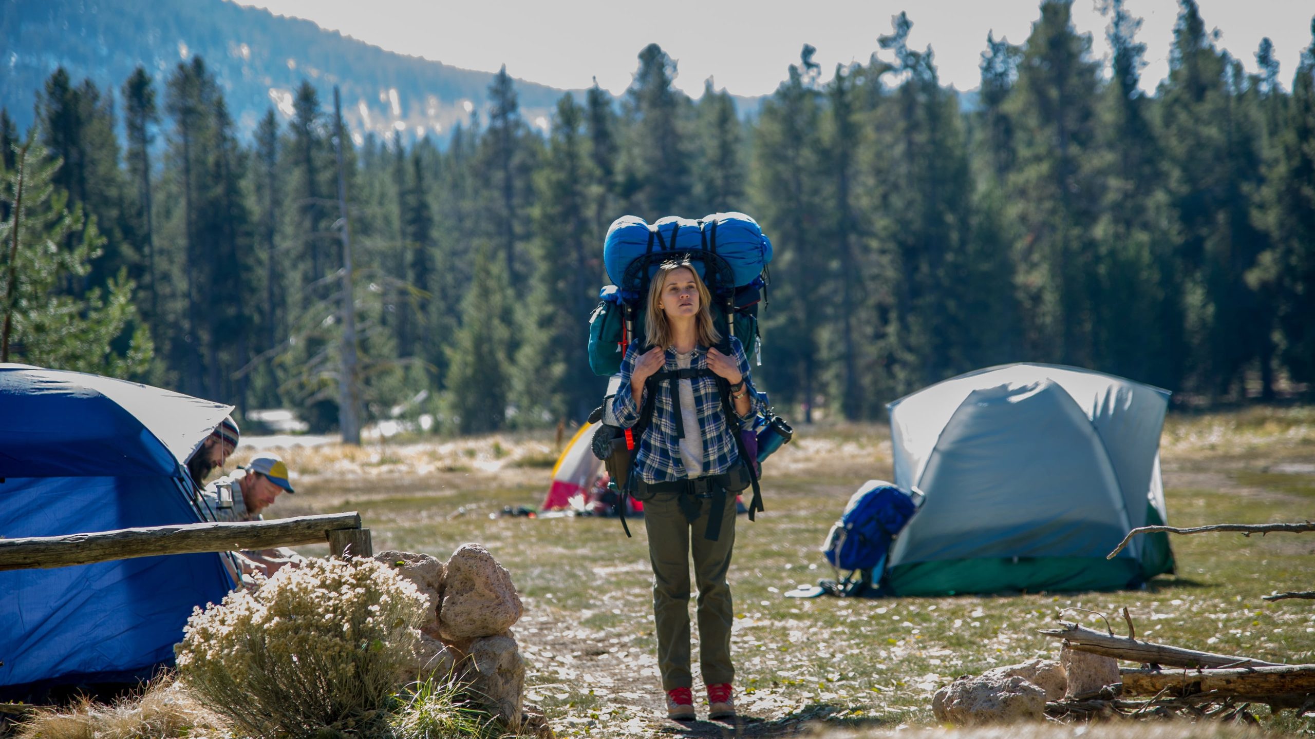 Wild, still 2