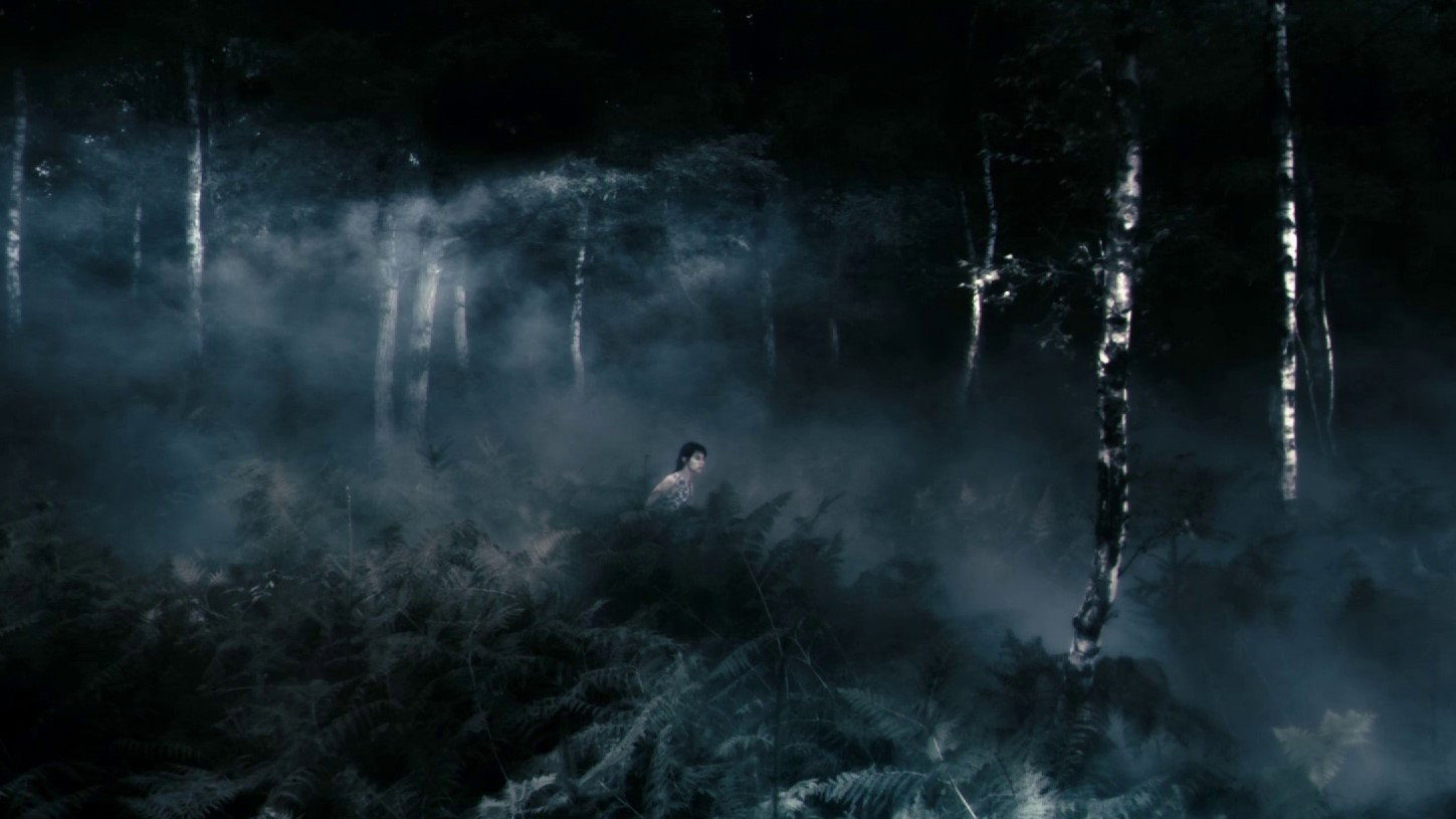 Antichrist, still 5