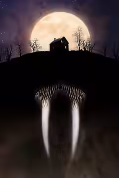 Tusk poster 5