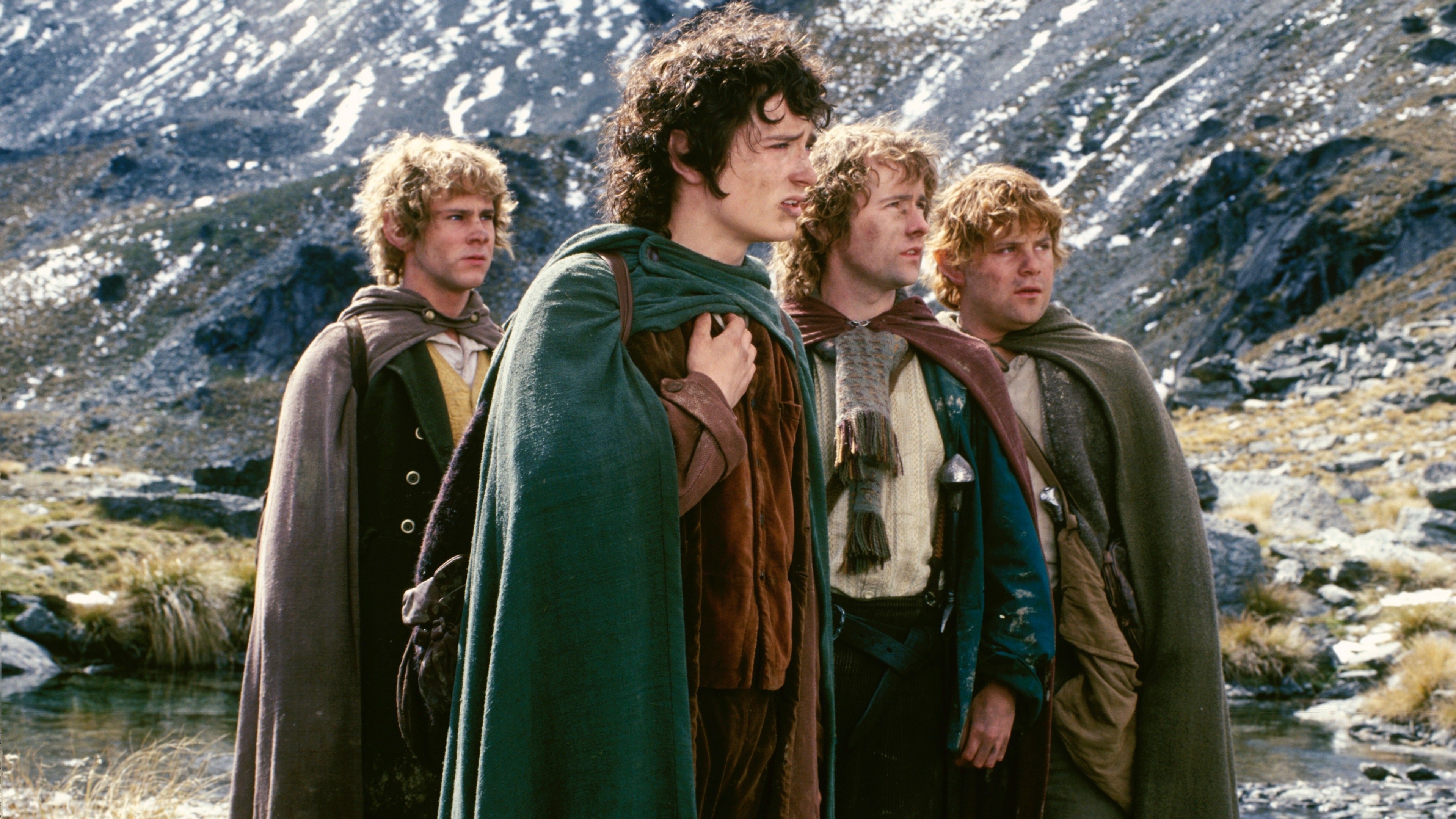 The Lord of the Rings: The Fellowship of the Ring, still 2