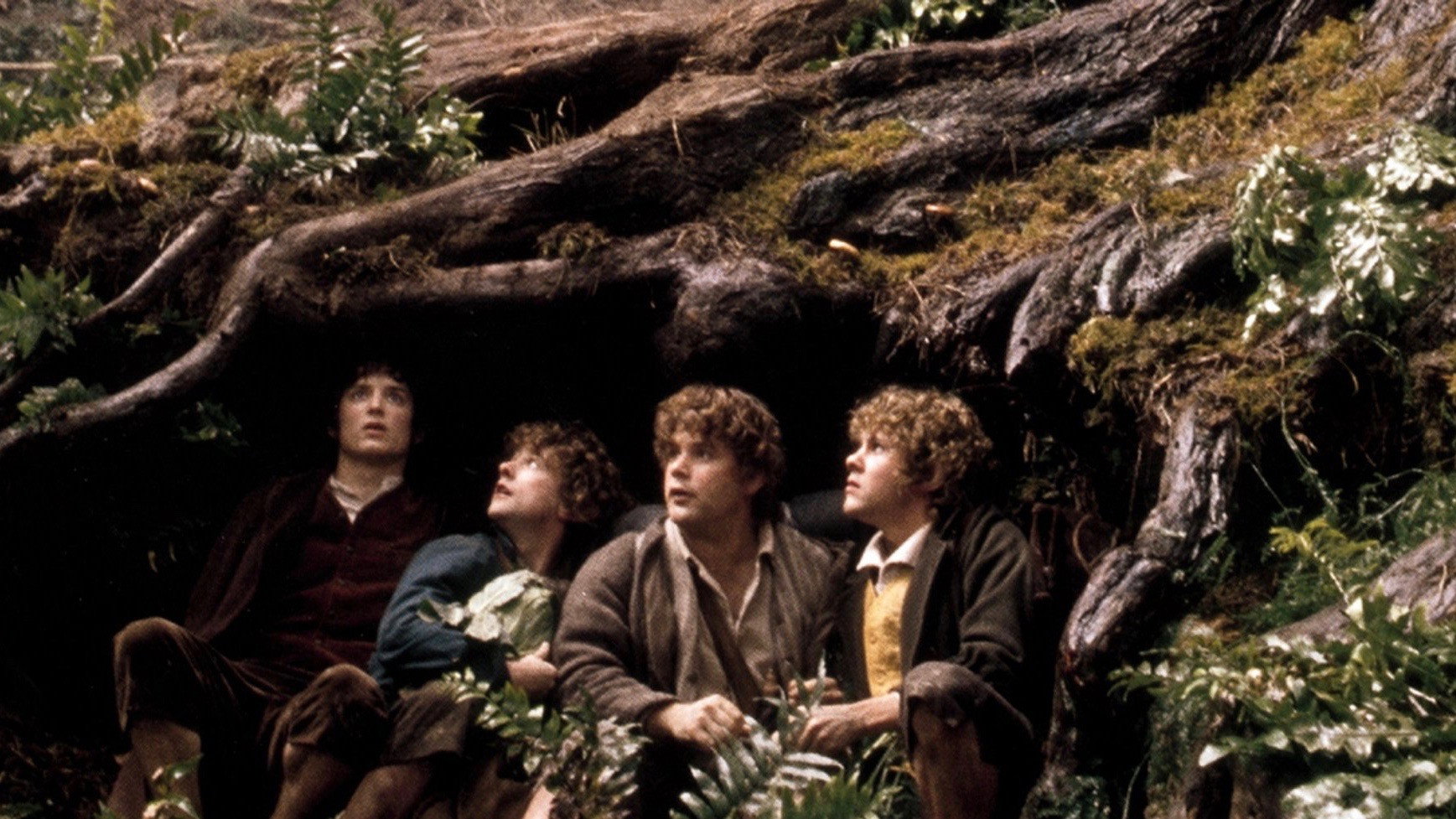 The Lord of the Rings: The Fellowship of the Ring, still 3