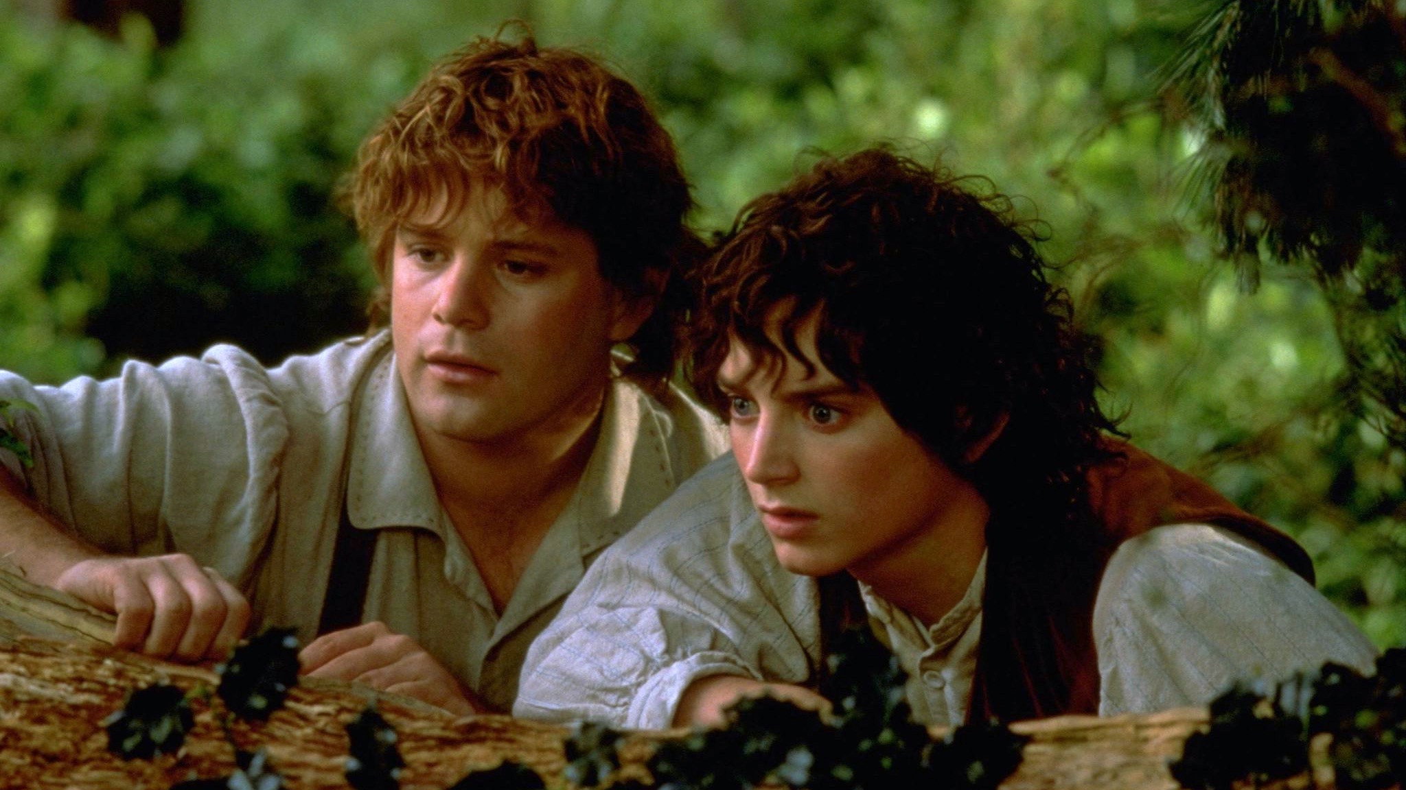 The Lord of the Rings: The Fellowship of the Ring, still 1