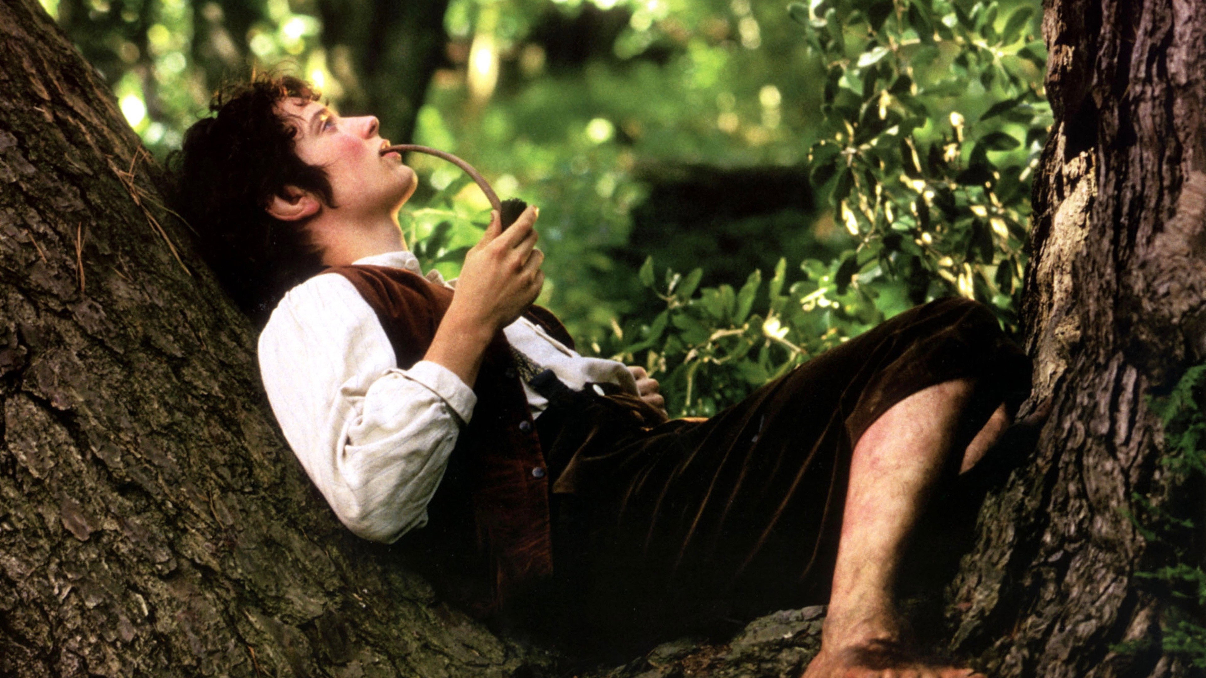 The Lord of the Rings: The Fellowship of the Ring, still 4