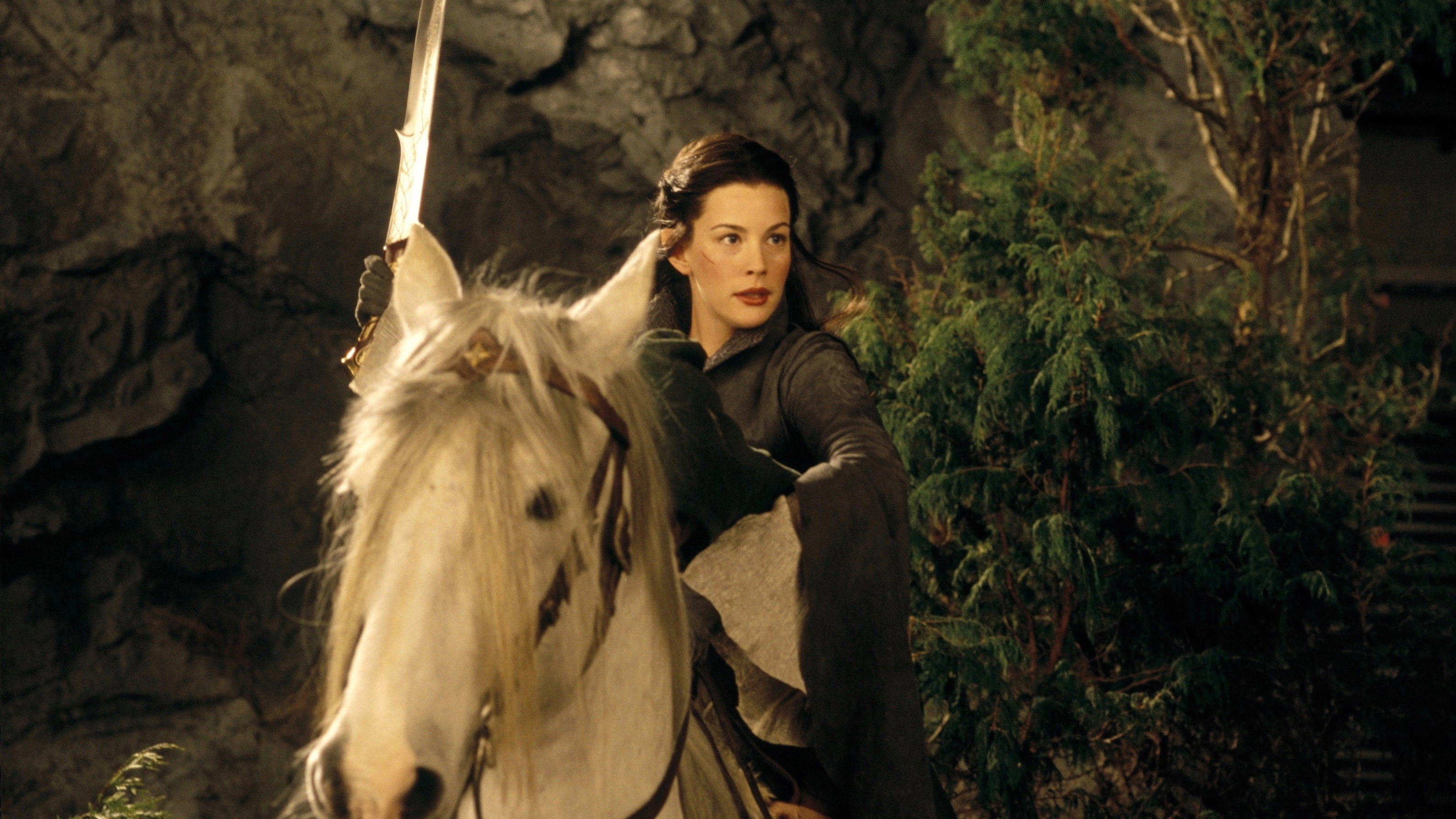 The Lord of the Rings: The Fellowship of the Ring, still 5