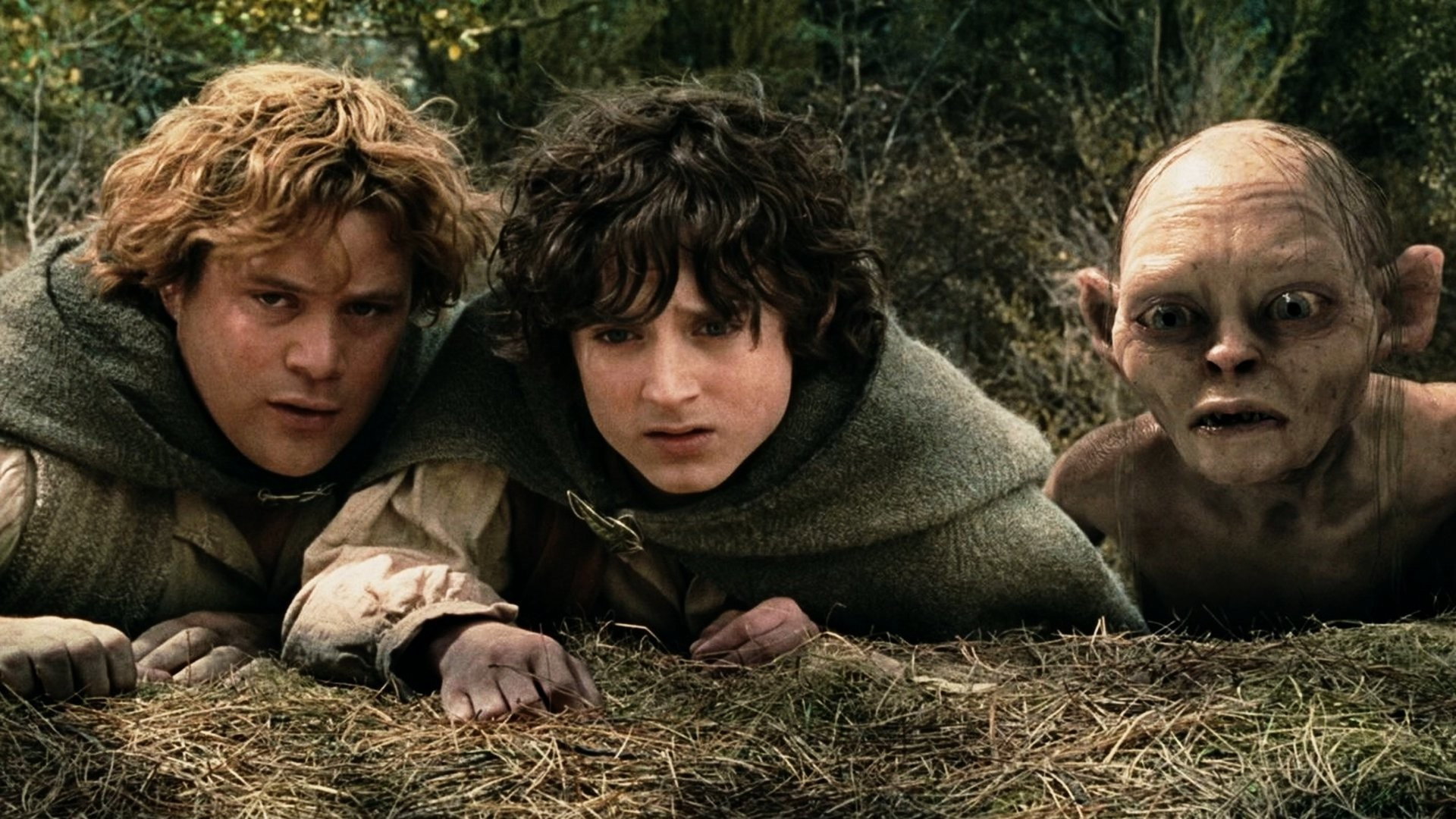The Lord of the Rings: The Two Towers, still 4
