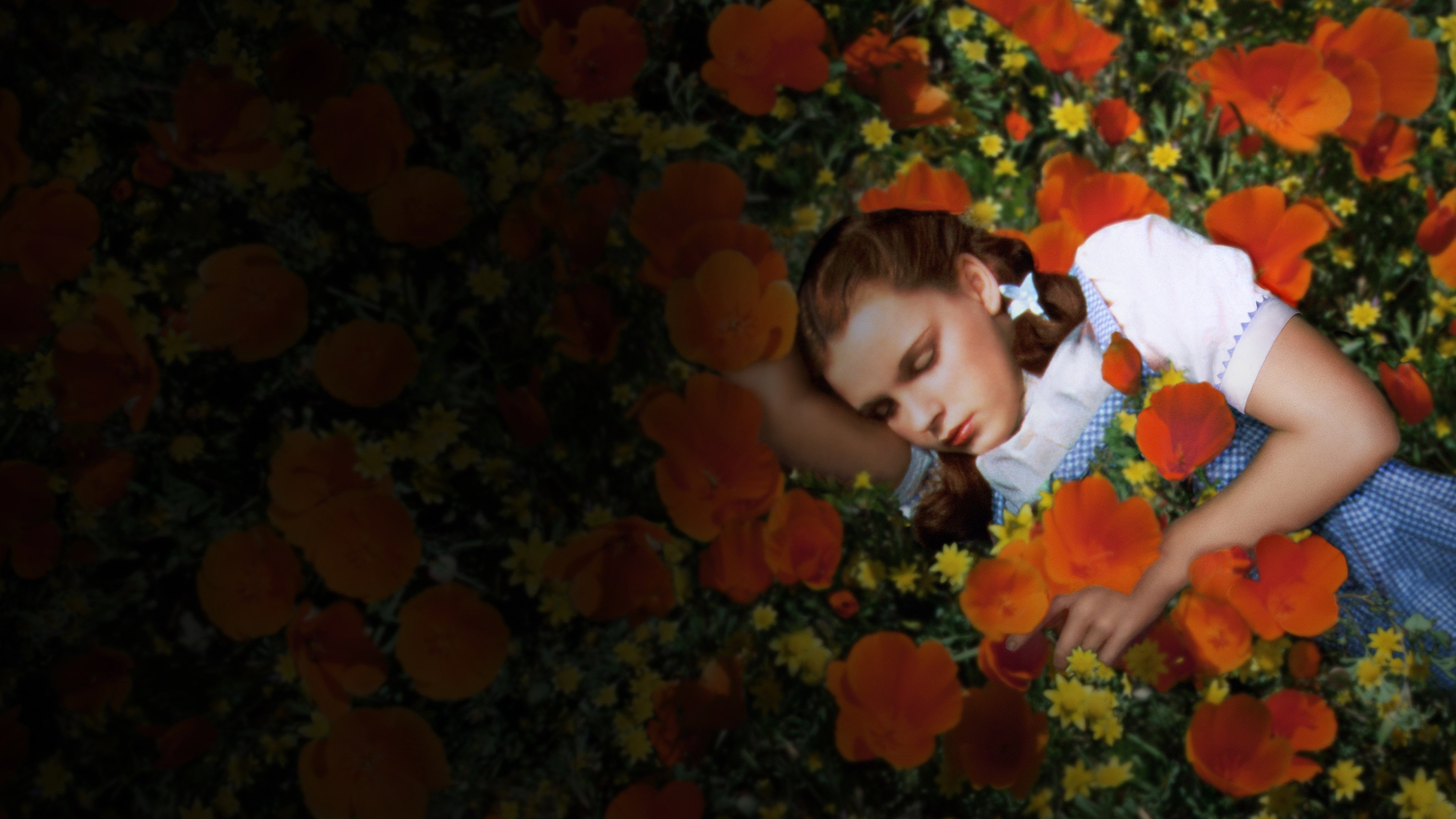 The Wizard of Oz, still 3