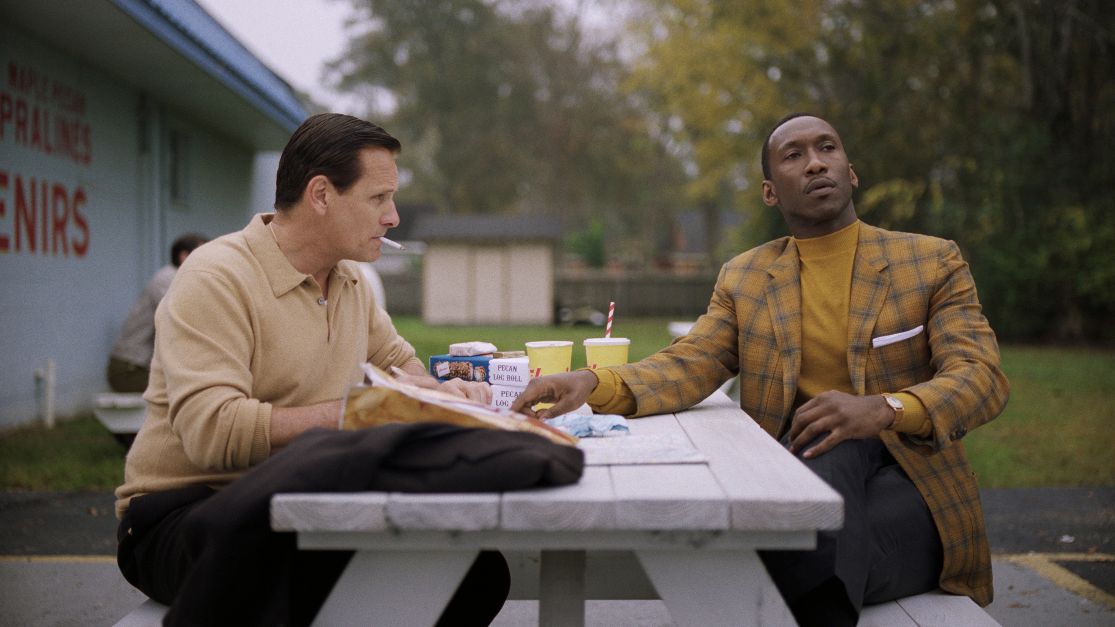Green Book, still 4