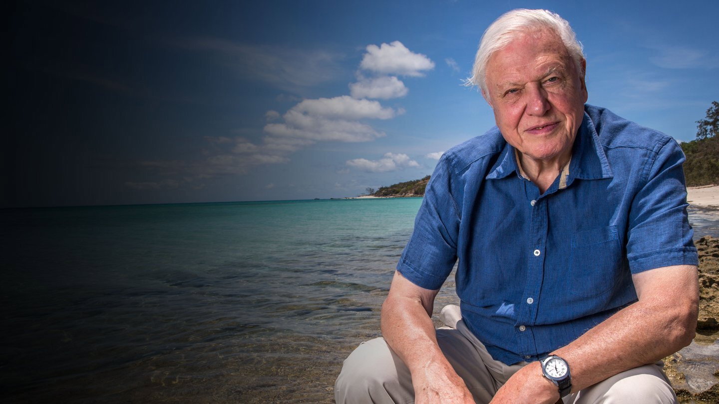 David Attenborough: A Life on Our Planet, still 2
