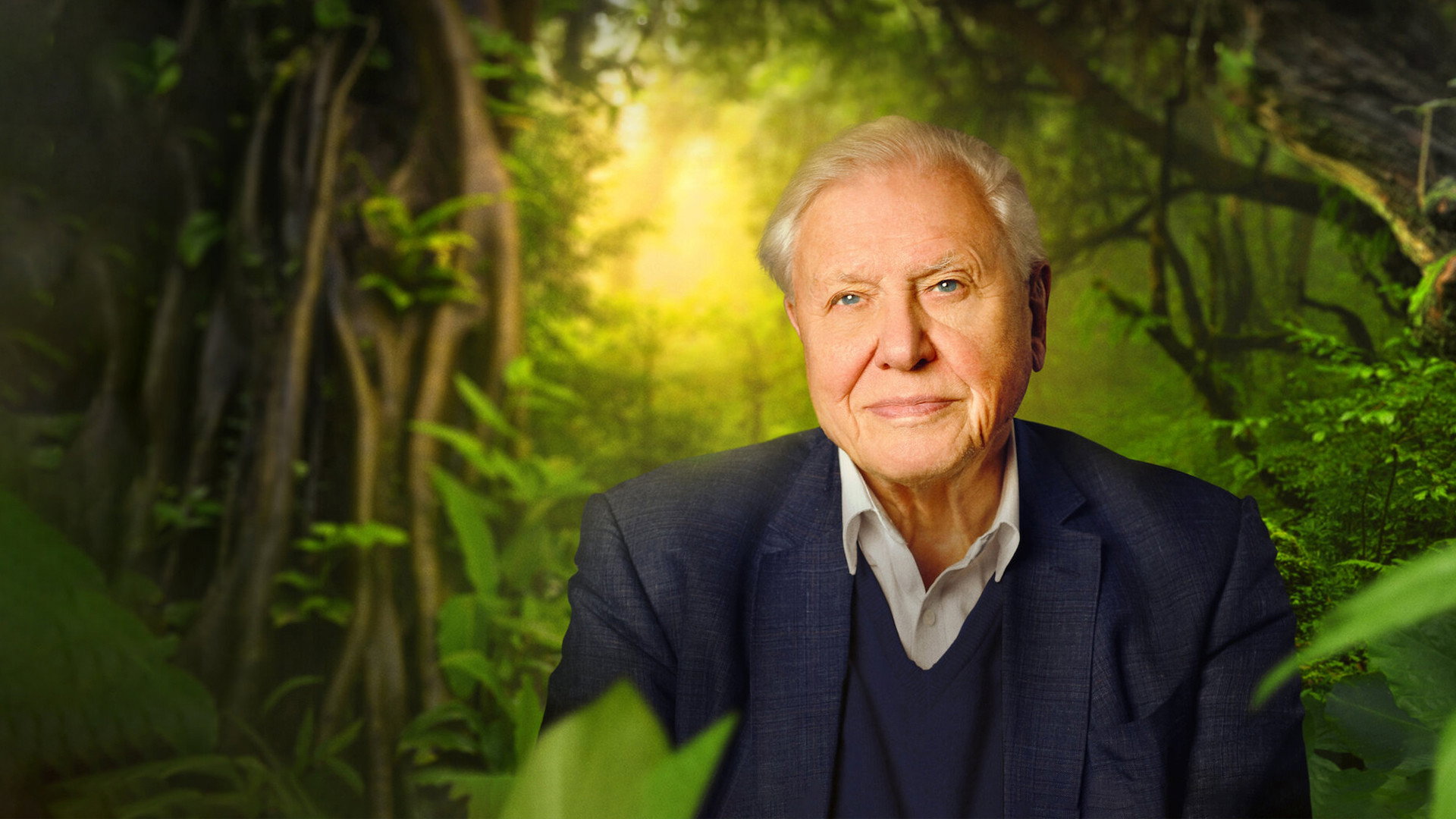David Attenborough: A Life on Our Planet, still 3