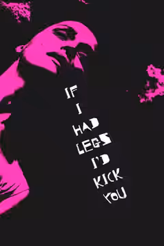 If I Had Legs I'd Kick You poster 2