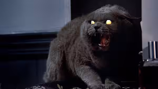 A gray cat snarls with glowing eyes indoors