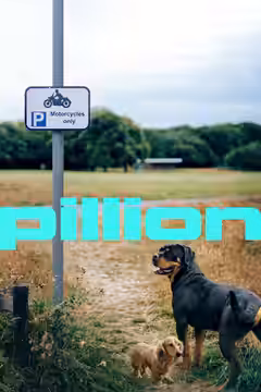 Pillion poster 4