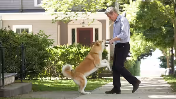 Parker Wilson (Richard Gere) holds a leash as his dog jumps up
