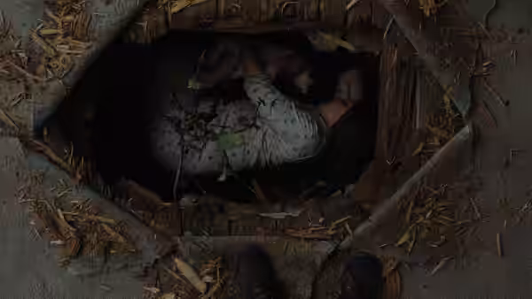 A long-haired woman lies curled inside a hollow tree as someone looks down