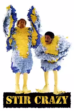 Stir Crazy poster 1