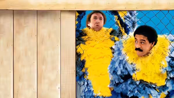 Skip Donahue (Gene Wilder) and Harry Monroe (Richard Pryor) struggle in feathered costumes behind a fence
