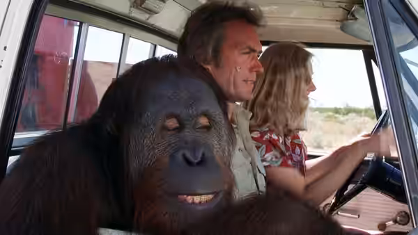 Philo Beddoe (Clint Eastwood), Lynn Halsey-Taylor (Sondra Locke) and an orangutan ride in a pickup truck
