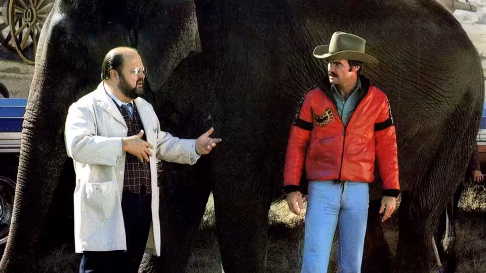 Doc (Dom DeLuise) gestures beside Bandit (Burt Reynolds) in front of an elephant