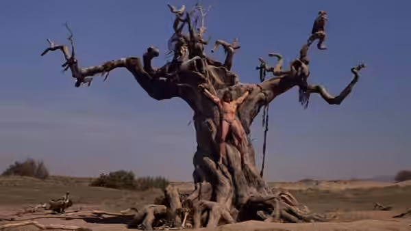 A nearly naked man is bound to a sprawling dead tree in the open plain