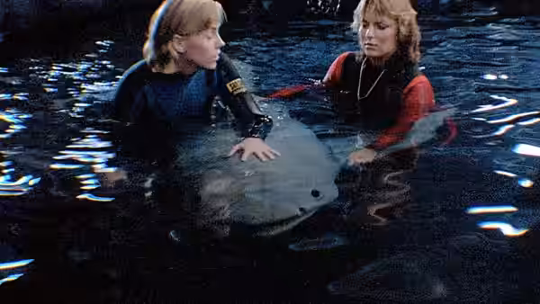 A woman in a wetsuit and a red-sleeved woman hold a ray in a dark pool