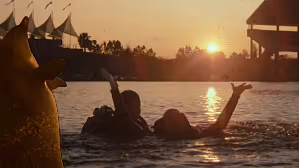 Two people swim at sunset near a shark fin and a marine park structure