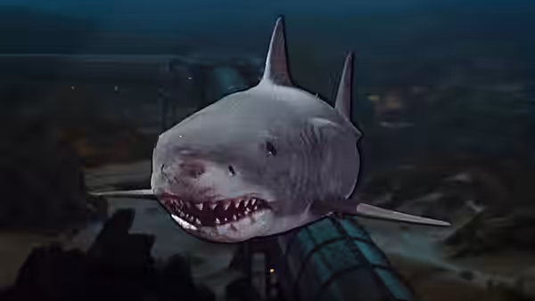 A great white shark swims toward the glass inside an underwater enclosure