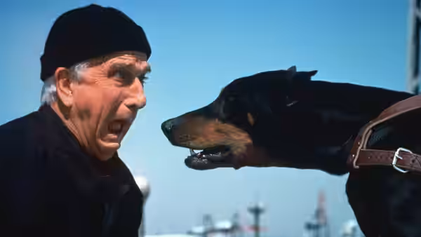 A man in a black cap recoils as a large dog lunges toward him