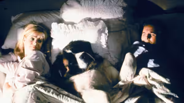 Alice and George Newton watch as Beethoven stretches across their bed