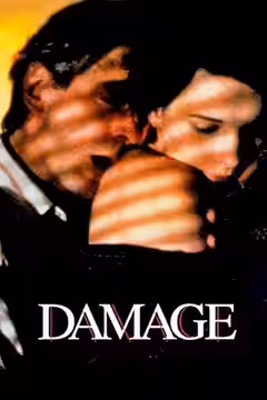Damage poster 3
