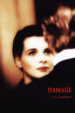 Damage poster 2