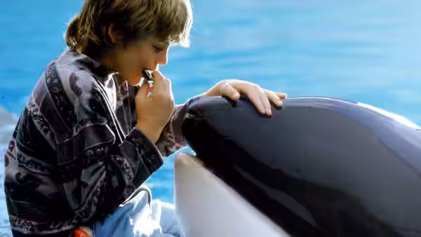 Jesse (Jason James Richter) leans close to Willy, touching the orca's nose beside the pool