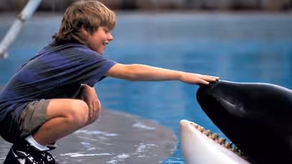 Jesse (Jason James Richter) crouches at the pool's edge and reaches toward Willy's nose