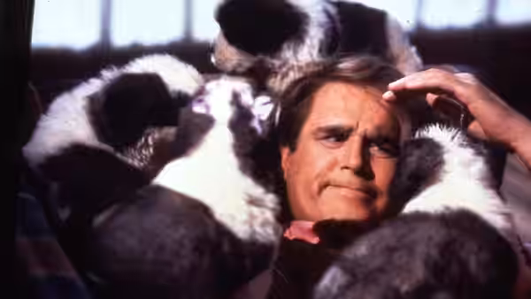 George Newton smiles as puppies climb over him indoors