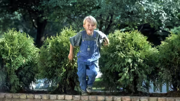 Dennis Mitchell (Mason Gamble) runs between shrubs in a garden