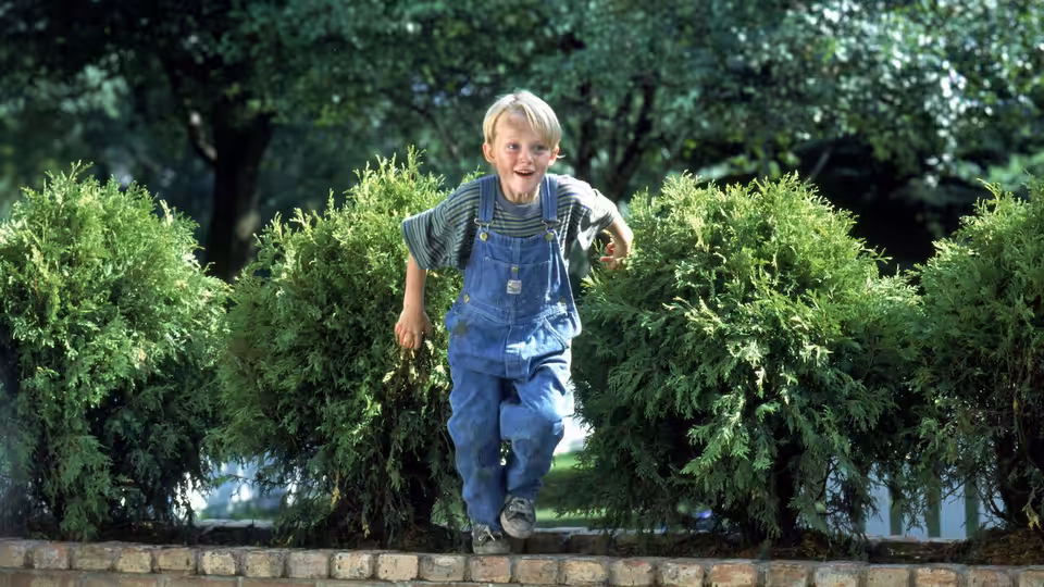 Dennis Mitchell (Mason Gamble) runs between shrubs in a garden