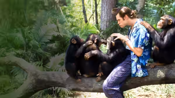 Ace Ventura (Jim Carrey) sits on a jungle branch among chimpanzees